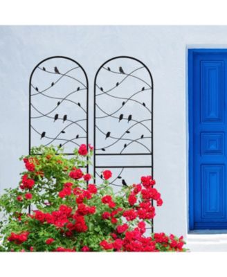 2 Pack 71" Metal Garden Trellis - Climbing Plant Support