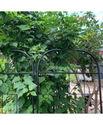 Metal Garden Trellis 2-Pack for Climbing Plants