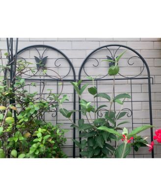 Metal Garden Trellis 2-Pack for Climbing Plants
