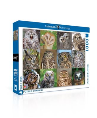 Owls and Owlets 1000 Piece Puzzle