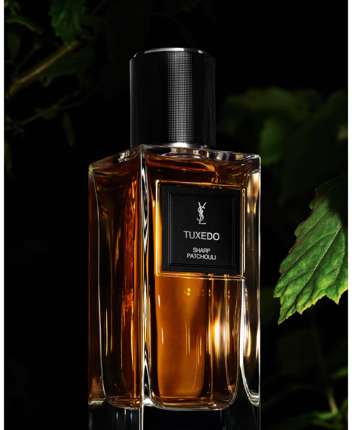 Saint Laurent Womens Le Vestiaire Des Parfums Tuxedo Eau De Parfum 125ml In Transparent