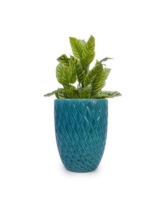 Modern Ceramic Planter Pot