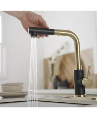 2 Sprayer Single Hole Single-Handle Pull Out Kitchen Faucet in Matte Black and Brushed Gold