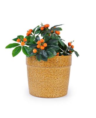 3-Piece Ceramic Flowerpot Set