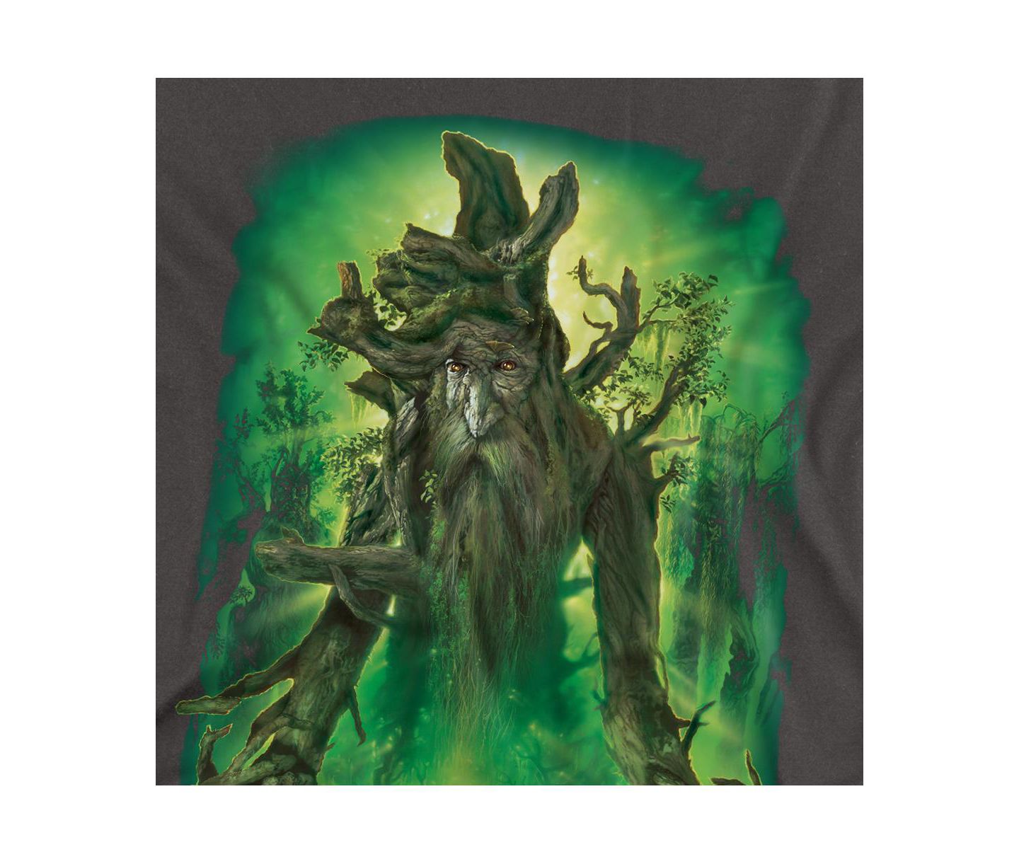 Мужская футболка Lord Of The Rings Big & Tall The Treebeard The Ent, цвет: Угольный — фото 2