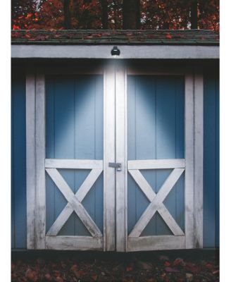 Motion-Activated Linked Outdoor Light