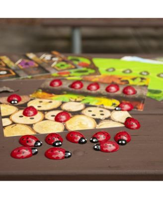 Ladybug Stones and Detailed Activity Cards