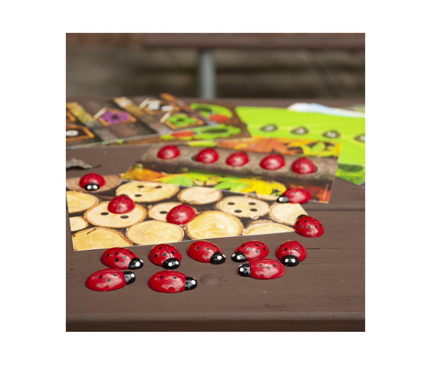 Детские игрушки Yellow Door Ladybug Stones and Detailed Activity Cards, цвет: Разноцветный — фото 3