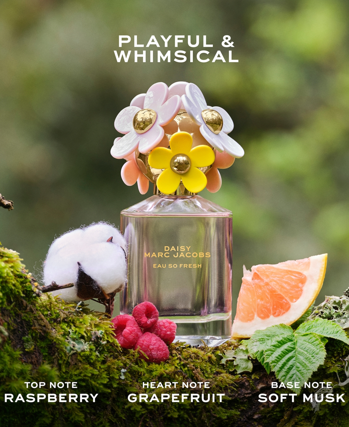 Marc Jacobs 4-pc. Daisy Fragrance Gift Set In Transparent