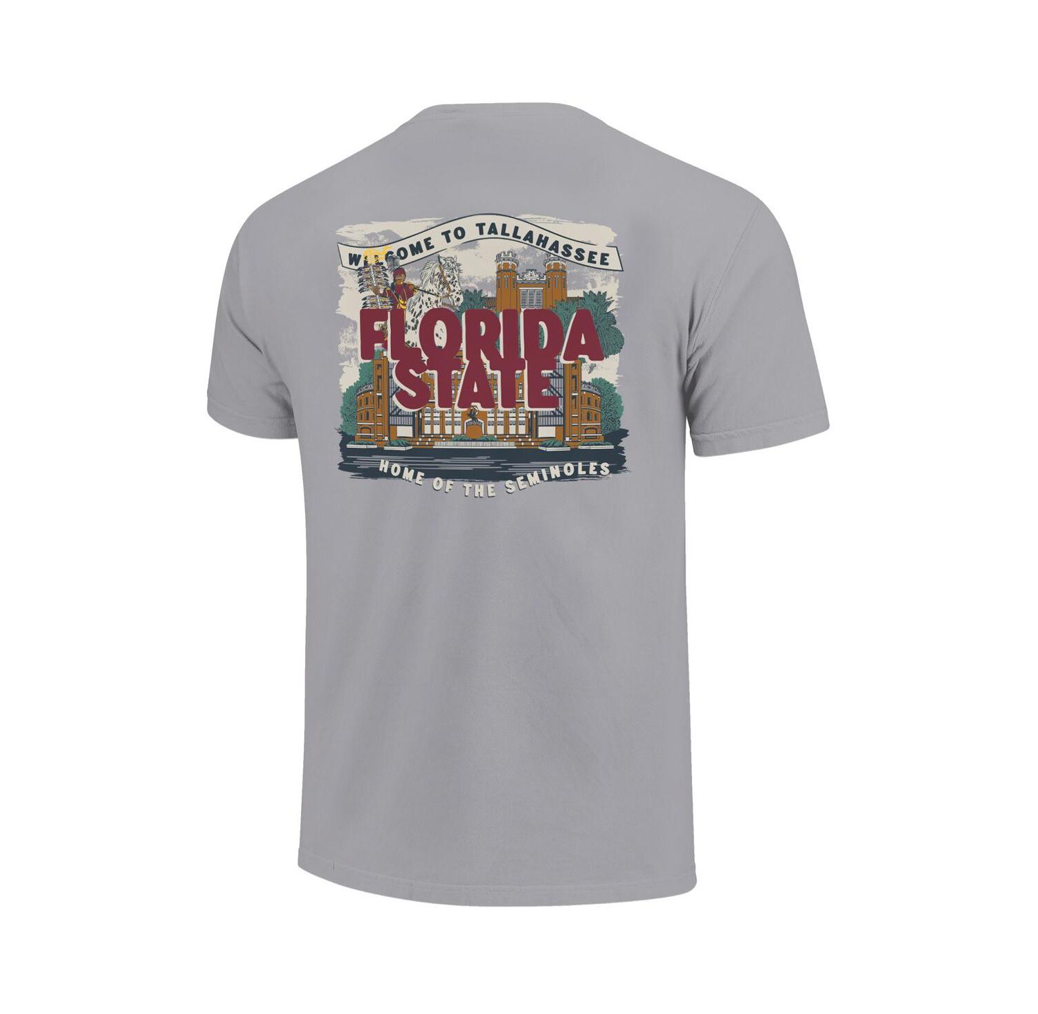 Big Boys and Girls Gray Florida State Seminoles Local Campus Scene T-Shirt
