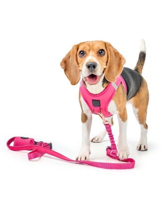 3-in-1 City Dog Leash