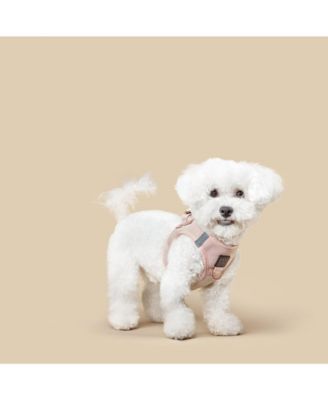 SoHo Dog Harness