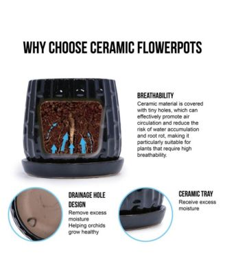 Set of 2 Modern Ceramic Planters