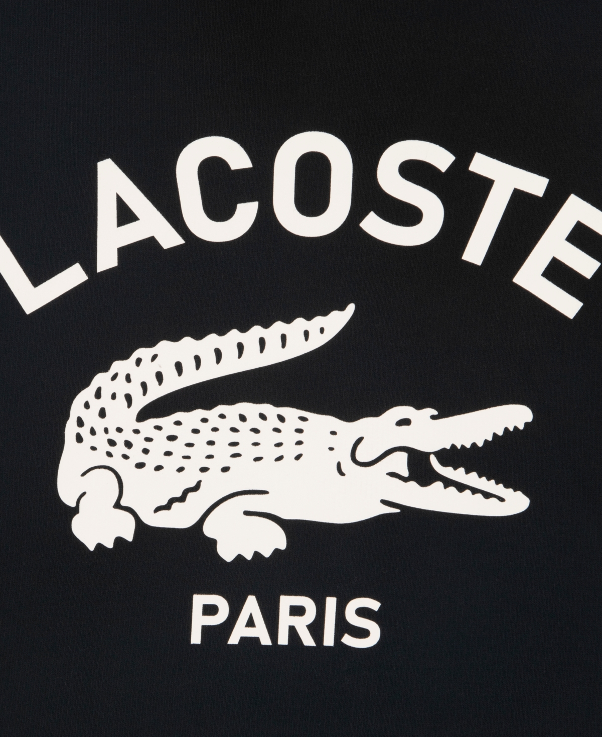 Lacoste Boys 8-20 Back Graphic Pull-On Hoodie