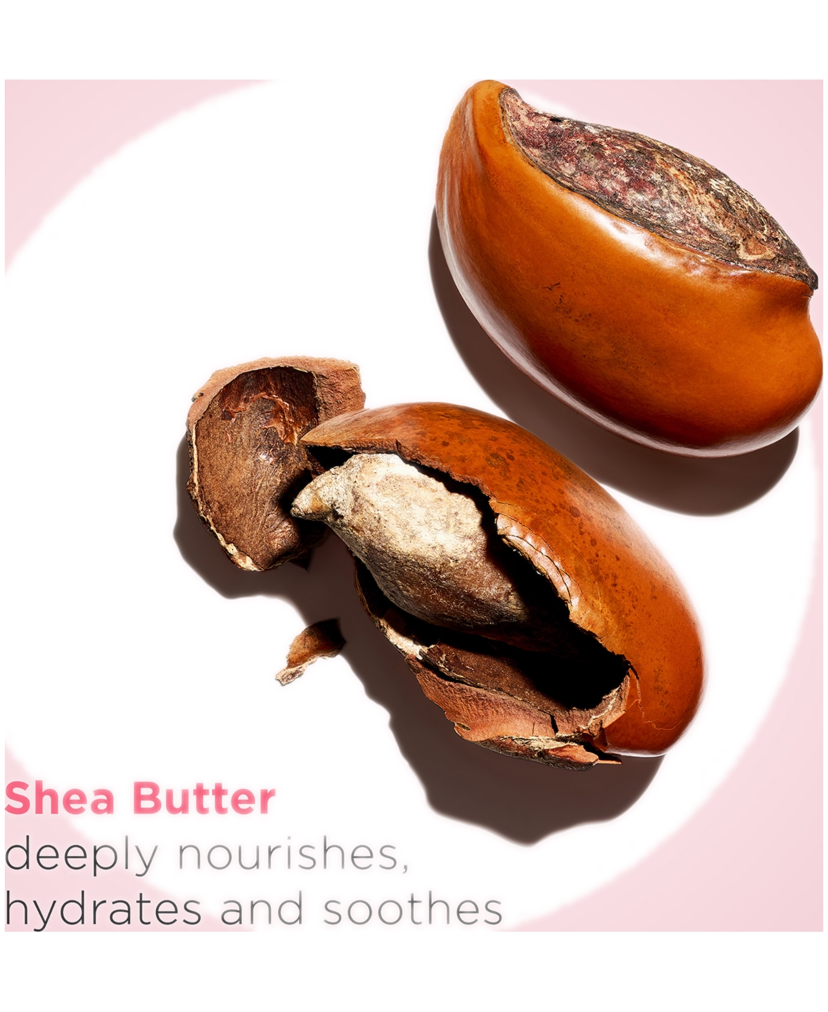 Clarins Moisture-Rich Hydrating Body Lotion Luxury Size, 13.1 oz.