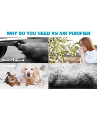 | Home Air Purifier for Large Rooms | True HEPA Filter, KJ203F-142 Model