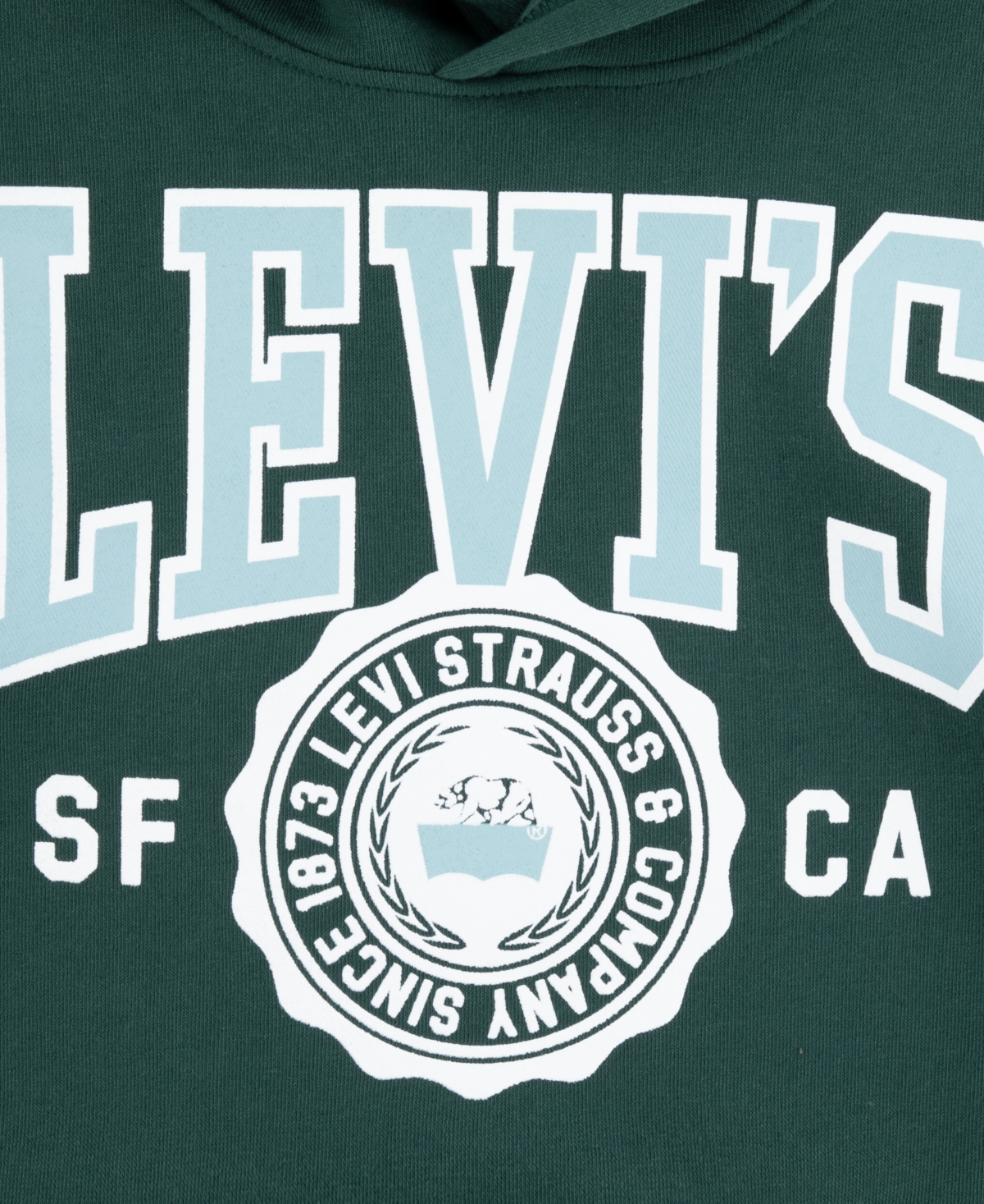 Levi's Boys 8-20 Sporty Long Sleeve Hoodie In Green