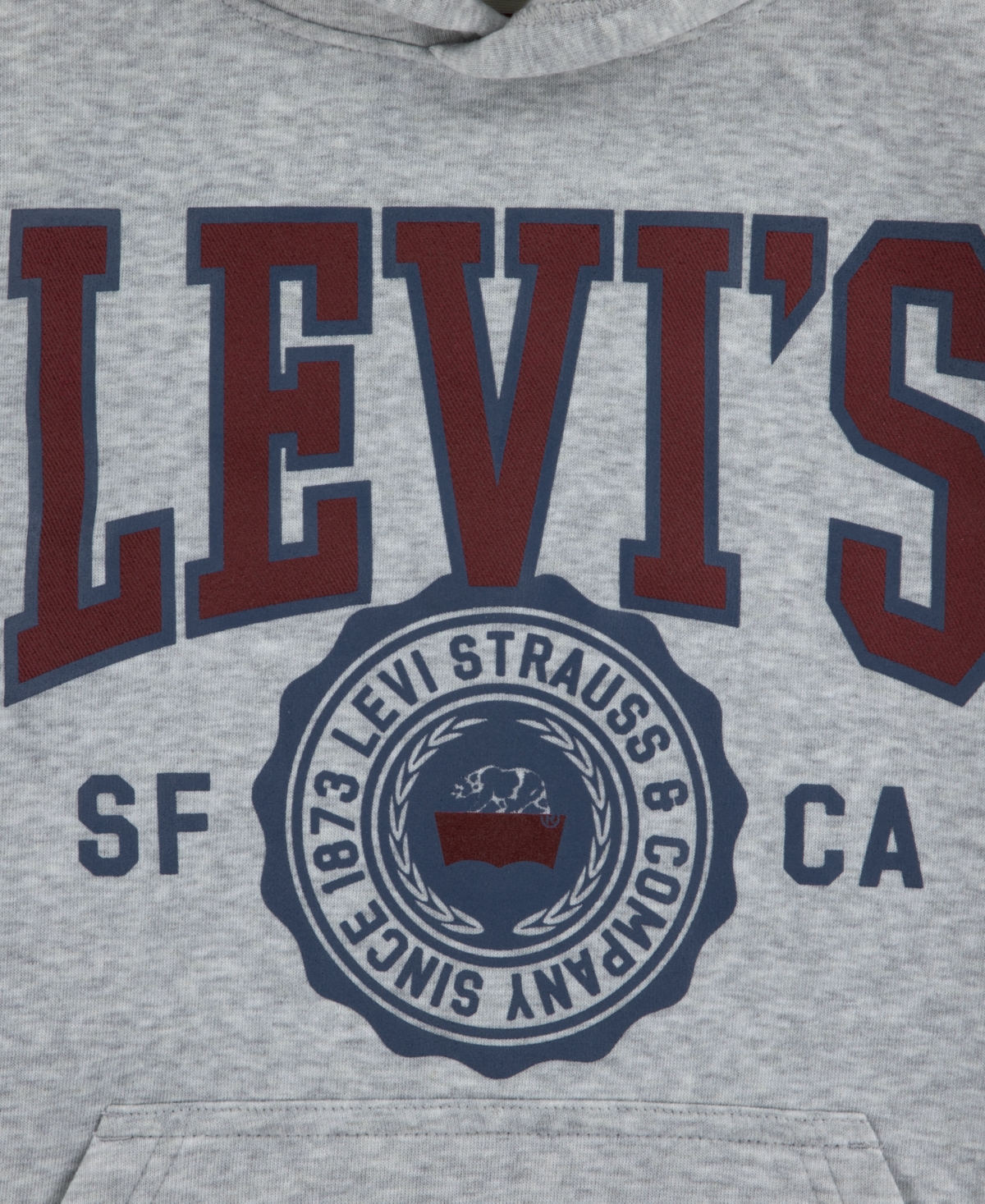 Levi's Boys 8-20 Sporty Long Sleeve Hoodie In Gray