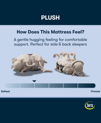 Perfect Sleeper Cobra Lily 10.5" Plush Tight Top Mattress, Full