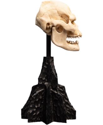 Polystone - The Lord of the Rings Trilogy - Skull of Lurtz Polystone Statue