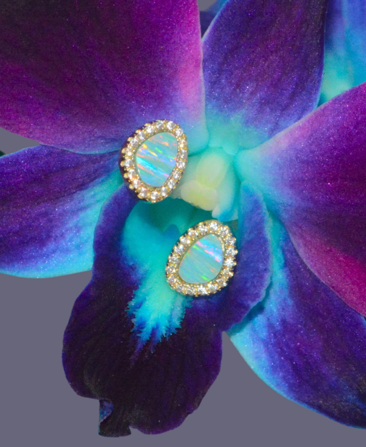 Kamaria Pebble Stud Earrings With Lab-grown Opal In 14k Gold Plated Sterling Silver