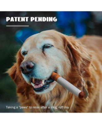 3 Pack Squeaky Camel Chewgarette Dog Toys with a Box, Interactive Plush Toys for Small Medium Dogs Pitbull Frenchie