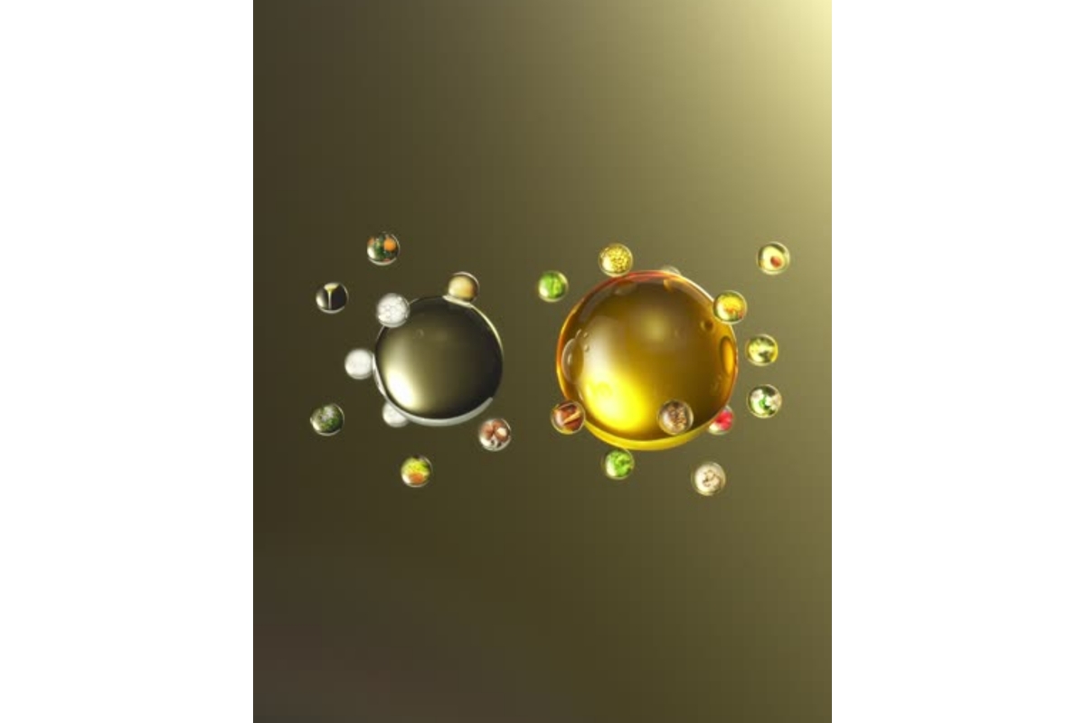 Albion Excia Double Key Advance Serum