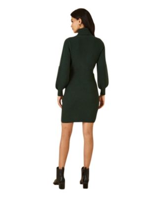 Women's Roll Neck Knitted Dress