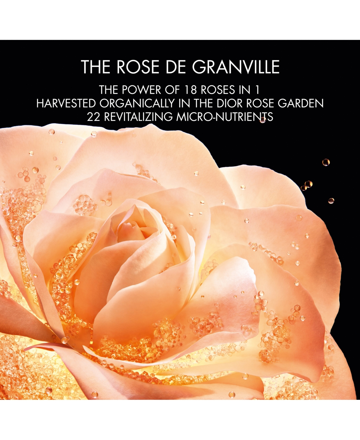 Prestige La Micro-Lotion de Rose Advanced Formula