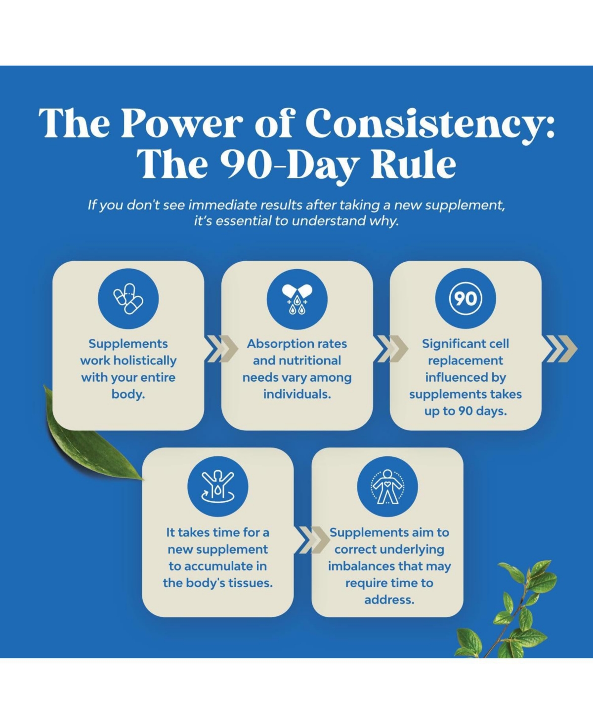 Nature's Craft Dhea 100mg for Men and Women | High Strength Supplement for Enhanced Energy and Balanced Hormone | 180ct