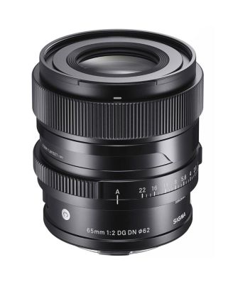 65mm f/2.0 DG DN Contemporary Lens for Sony E, Bundle with ProOptic 62mm Filter Kit, Cleaning Kit, Protecting Cloth, Lens Cap Tether, PC