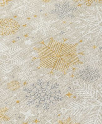 Holiday Washable Indoor/Outdoor ACN1823 10'x14' Area Rug