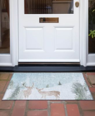 Holiday Washable Indoor/Outdoor ACN1821 1'8"x2'6" Area Rug