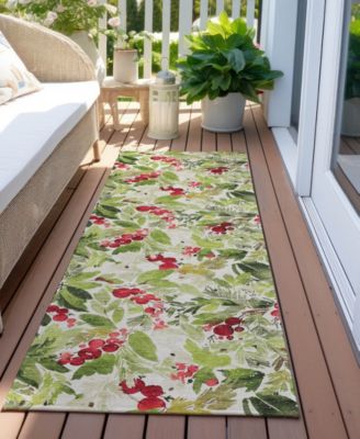 Holiday Washable Indoor/Outdoor ACN1816 2'3"x7'6" Runner Area Rug