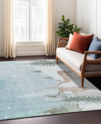 Holiday Washable Indoor/Outdoor ACN1821 3'x5' Area Rug