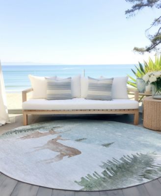 Holiday Washable Indoor/Outdoor ACN1821 8'x8' Round Area Rug