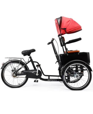 20-Inch Tricycle for Adults with Removable Child Seat & Cargo Carrier for Pets and Groceries