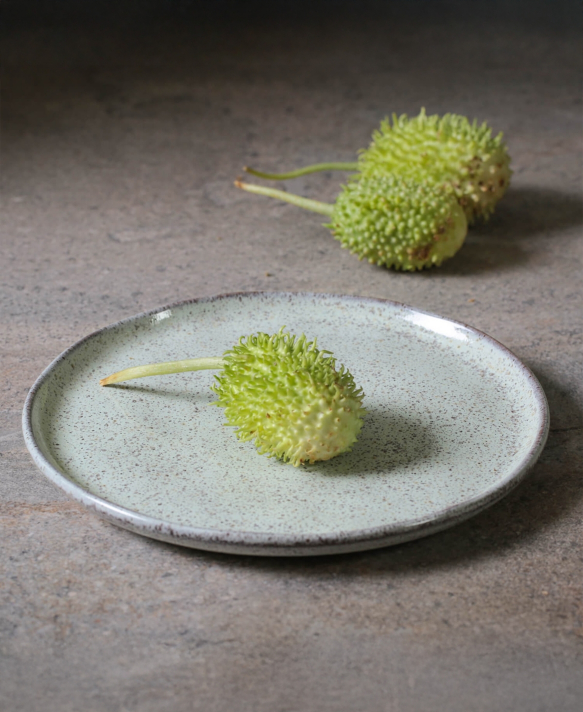 Porto Brasil Stoneware Dessert Plates, Set Of 6 In Neutral