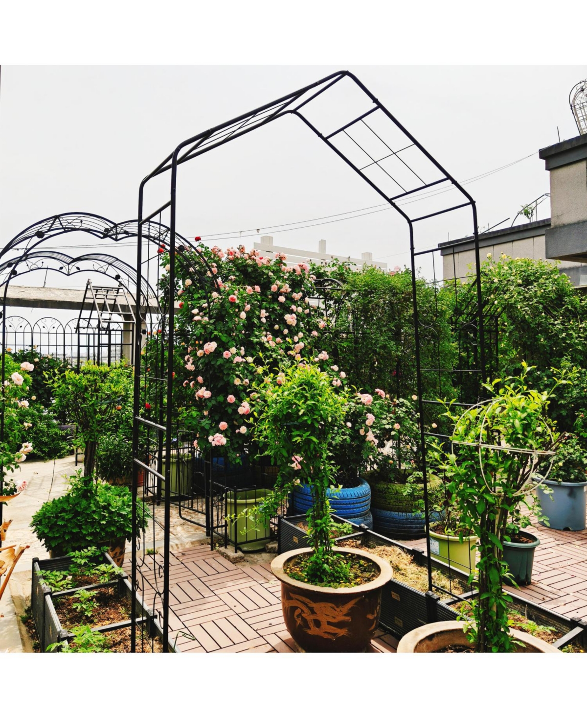 Streamdale Furniture Metal Garden Arch Climbing Plants Support Black