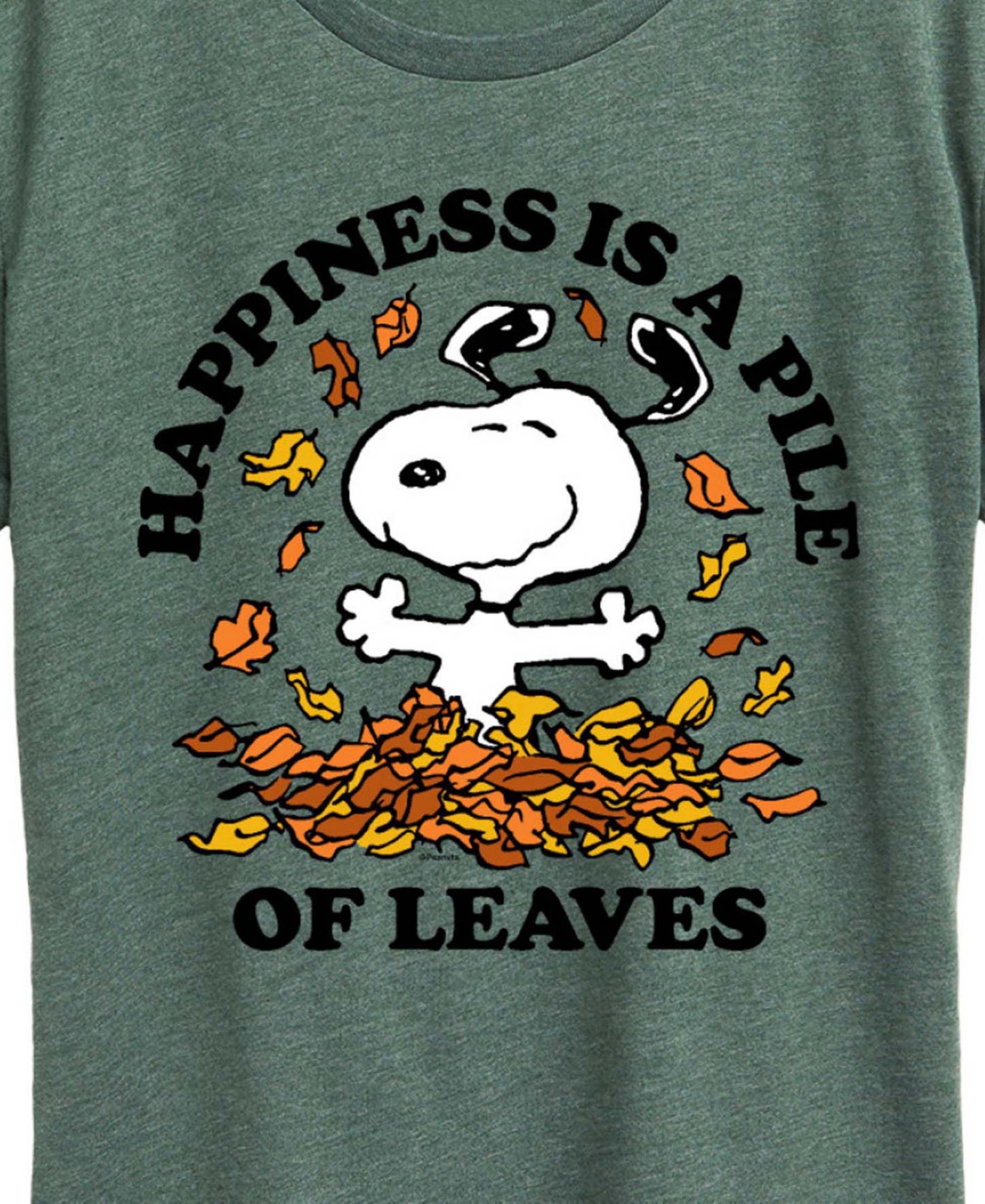 Hybrid Apparel Snoopy  Plus Sizehappiness Is A Pile Of Leaves Women's Short Sleeve Graphic T-shirts In Green