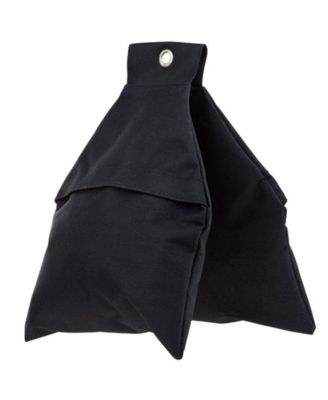 D-Lite RX ONE 100Ws Compact Monolight, Bundle with Flashpoint 9.5' Pro Air-Cushioned Stand and Weight Sand Bag