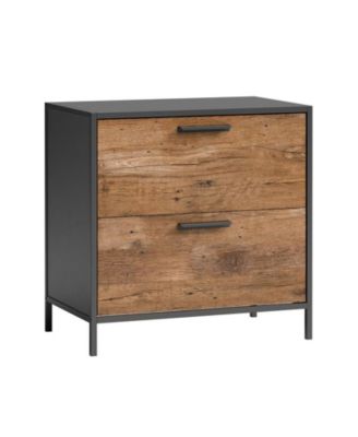 Storage File Cabinet with 2 Drawers