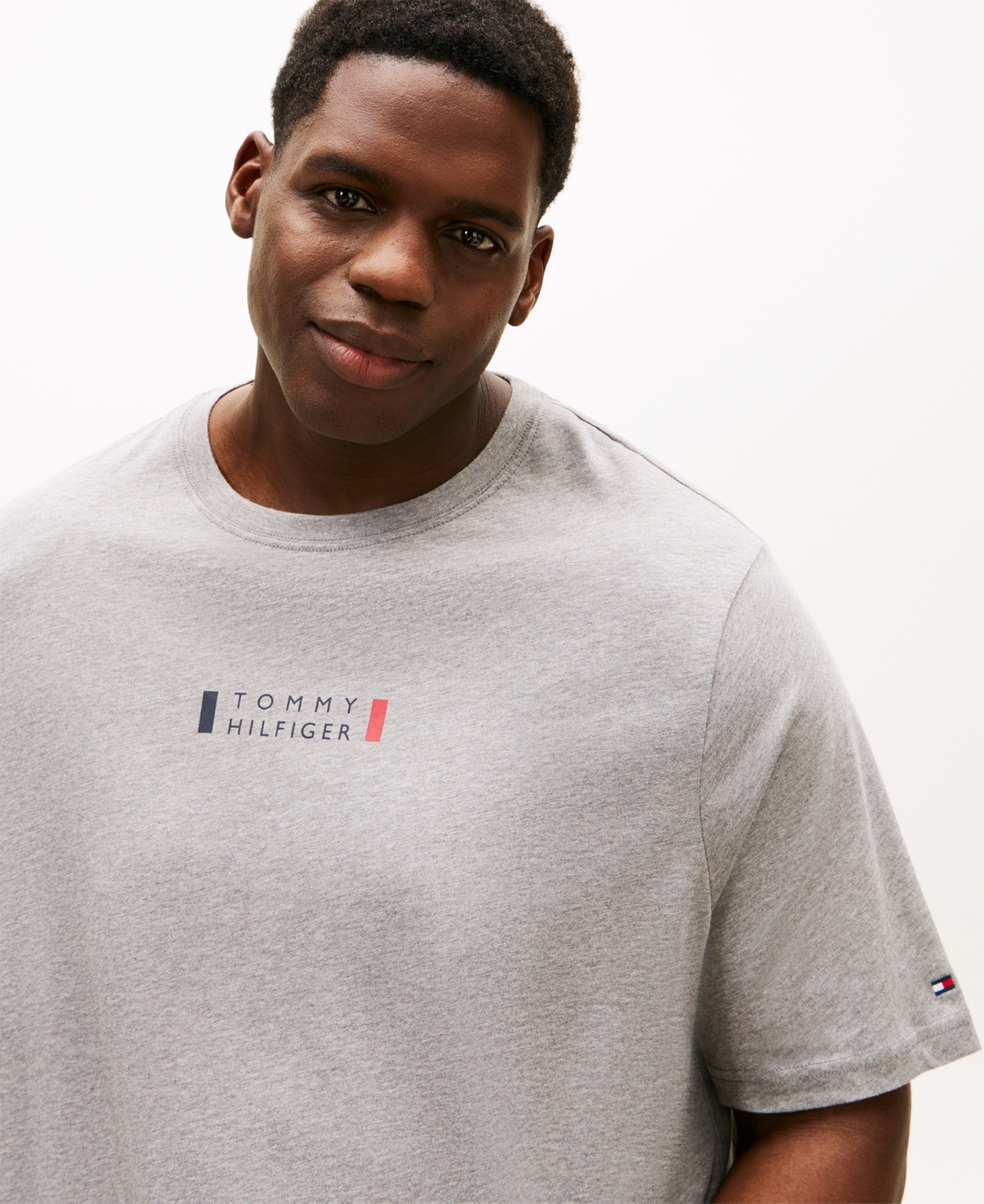 Tommy Hilfiger Men's Big & Tall Small Center Logo T-shirt In Multi