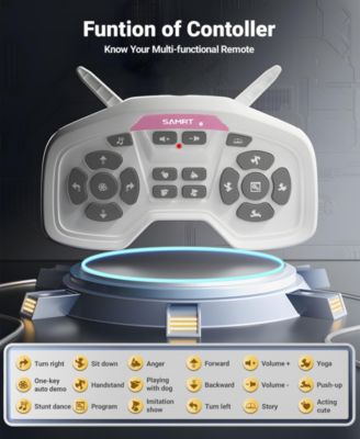 Smart Interactive Robot Dog Toy for Kids with Remote Control, Voice and Touch Features