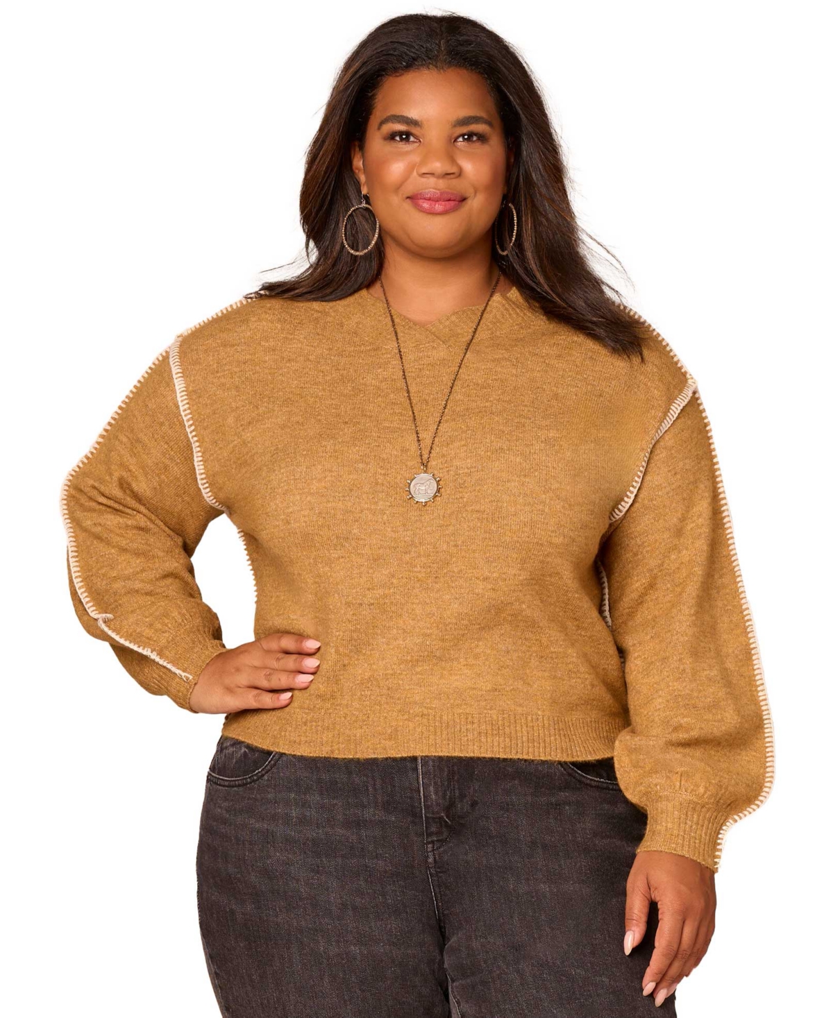 Democracy Plus Size Long Blouson Sleeve Sweater