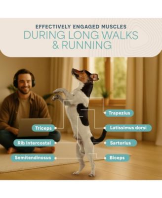 PawRunner Compact Dog Treadmill – Indoor Pet Fitness Machine for Small & Medium Dogs up to 130 lbs – Durable Treadmill for Canine Exercise & Health