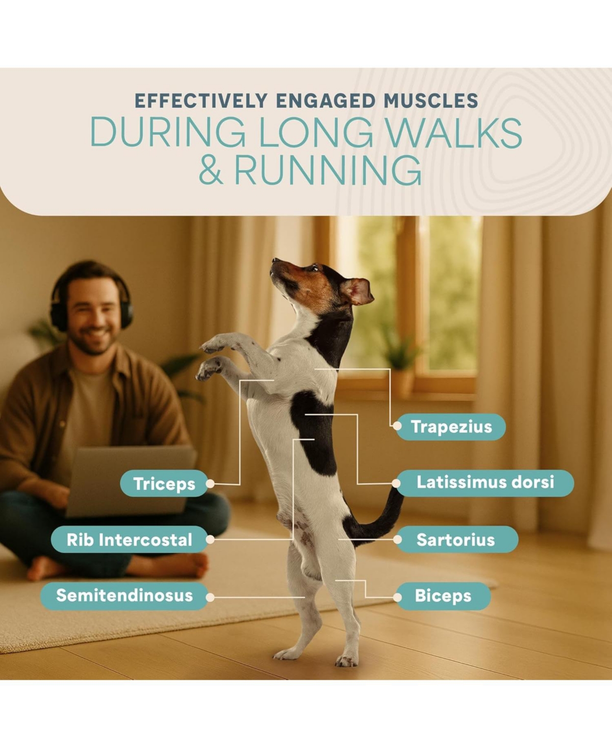 Lifepro PawRunner Compact Dog Treadmill – Indoor Pet Fitness Machine for Small & Medium Dogs up to 130 lbs – Durable Treadmill for Canin