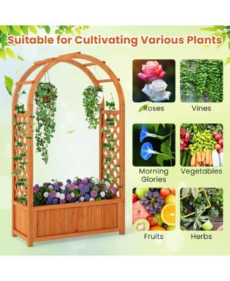 Raised Garden Bed Wooden Elevated Planter Box with Lattice Trellis & Ached Roof