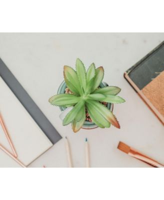 Star Wars Boba Fett Helmet 3-Inch Ceramic Mini Planter with Artificial Succulent