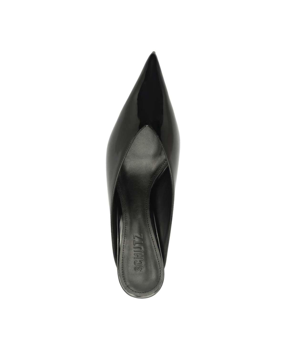 Schutz Women's Loren Pointed Toe Pumps In Black